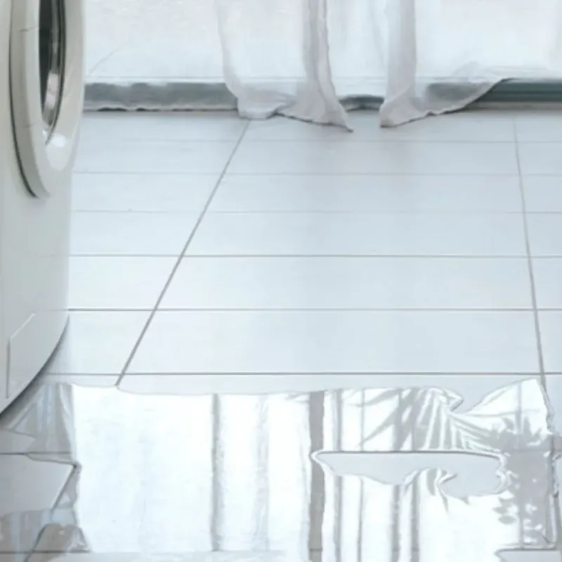 Appliance Leak Cleanup in Langston, OK