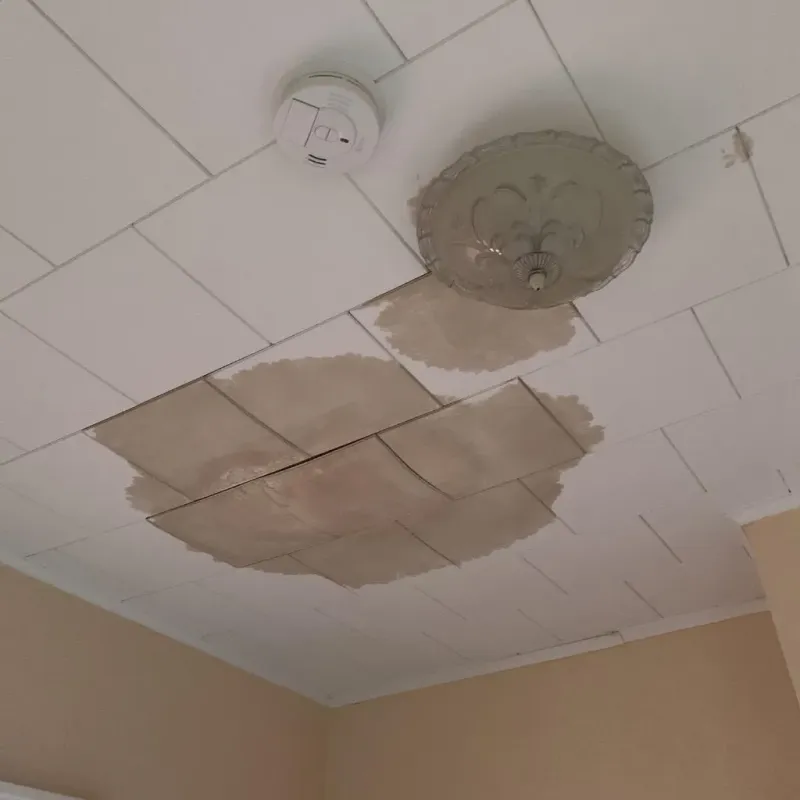 Ceiling Water Damage Repair in Langston, OK