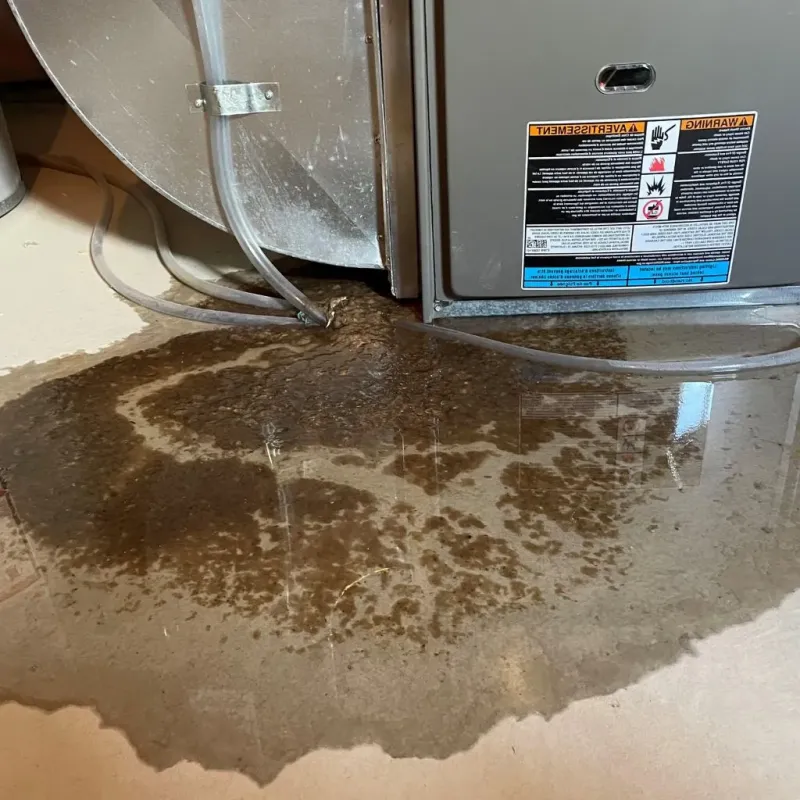 Pipe Burst and Leak Restoration in Langston, OK