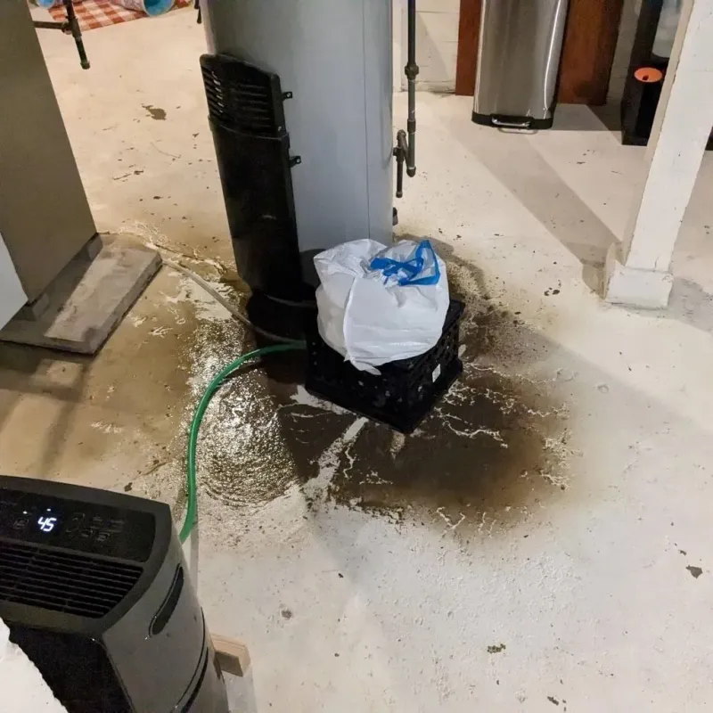 Sewage Backup Cleanup Service in Langston, OK